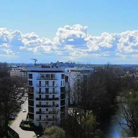 Cicha Przystań Platany