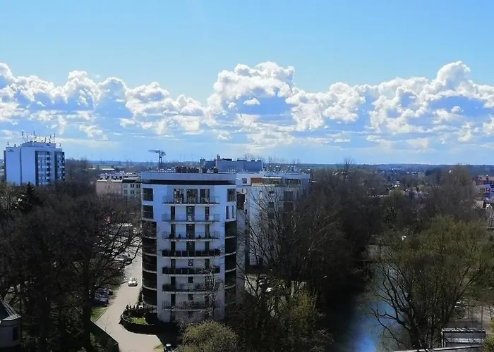 Cicha Przystań Platany